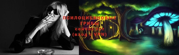 ПСИЛОЦИБИНОВЫЕ ГРИБЫ Медвежьегорск