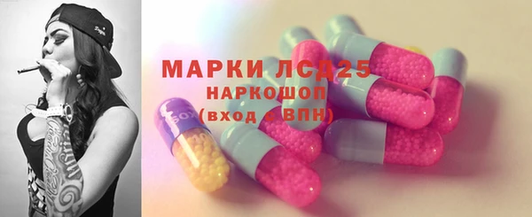 ПСИЛОЦИБИНОВЫЕ ГРИБЫ Медвежьегорск