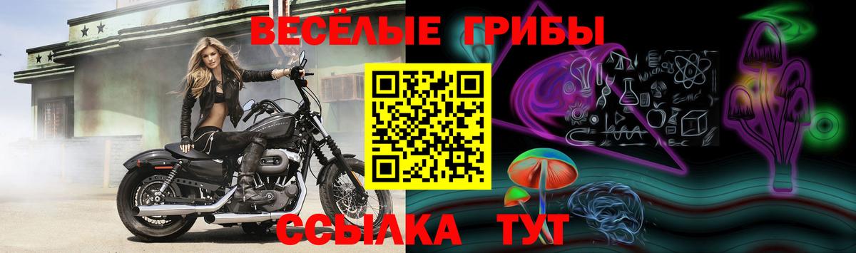 Псилоцибиновые грибы ЛСД Нарьян-Мар
