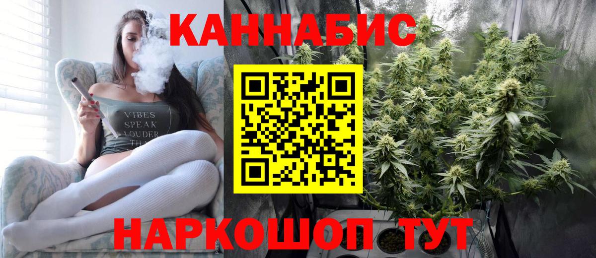 Конопля гибрид Нарьян-Мар